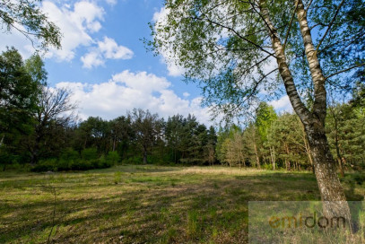 Działka Sprzedaż Karolino