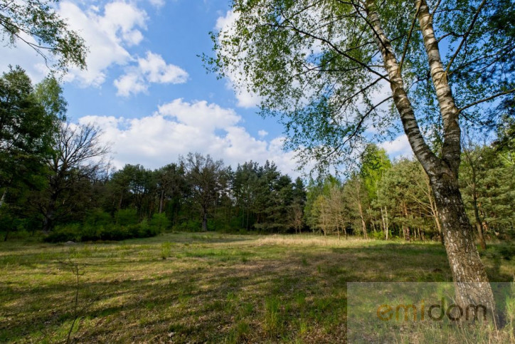 Działka Sprzedaż Karolino 5