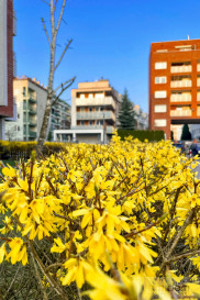 Mieszkanie Wynajem Warszawa Ursynów Stefana Dembego